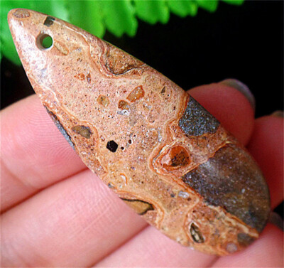 51x19x7mm Brown Kambaba Nebula Jasper Teardrop Pendant Bead BQ62017