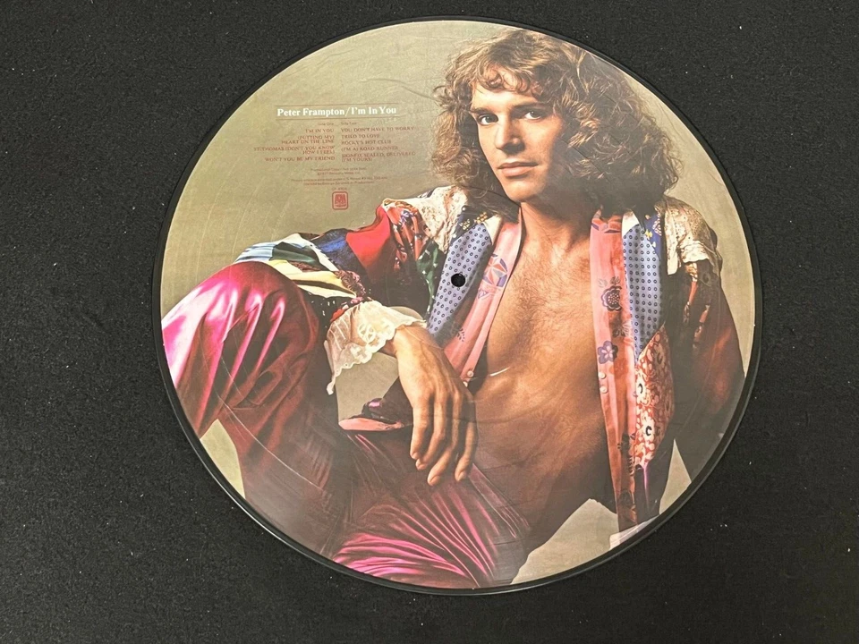 PETER FRAMPTON I'M IN YOU PICTURE DISC VINYL  - Image 2 of 2