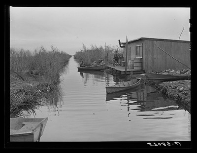 Delacroix Island Louisiana 1941 Spanish Muskrat Trapper Camp Bayou Piroques