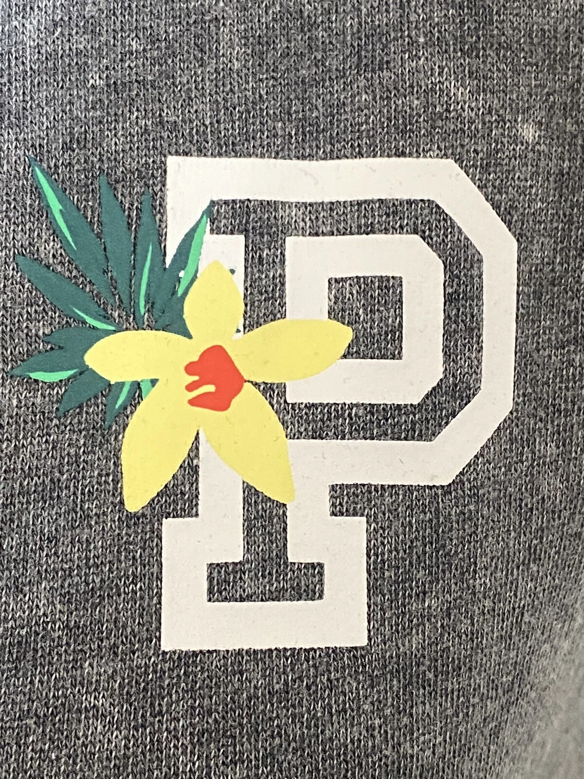 UNDERCOVER Felpa con cappuccio Victoria's Secret cerniera intera ""ROSA"" grafica e fiori grigio taglia S P