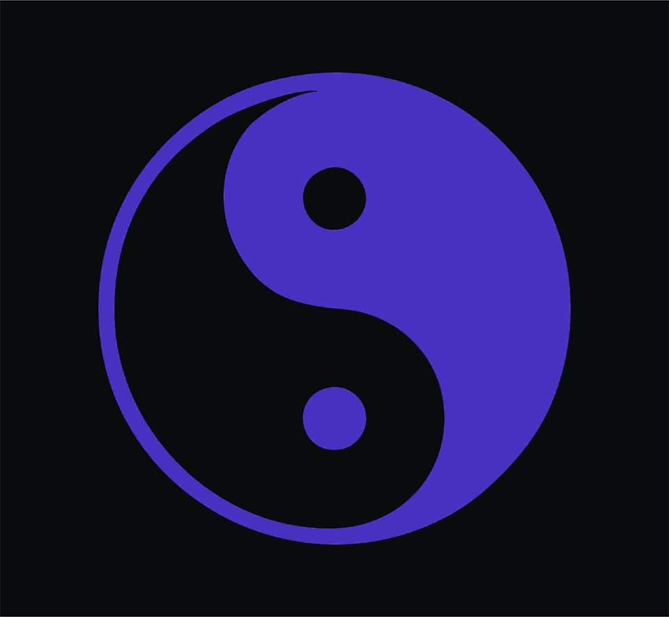 Yin Yang Symbol Vinyl Die Cut Decal Sticker | eBay