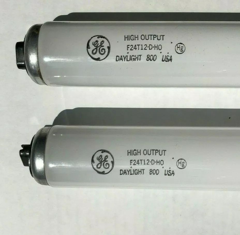 T12 ho bulbs online