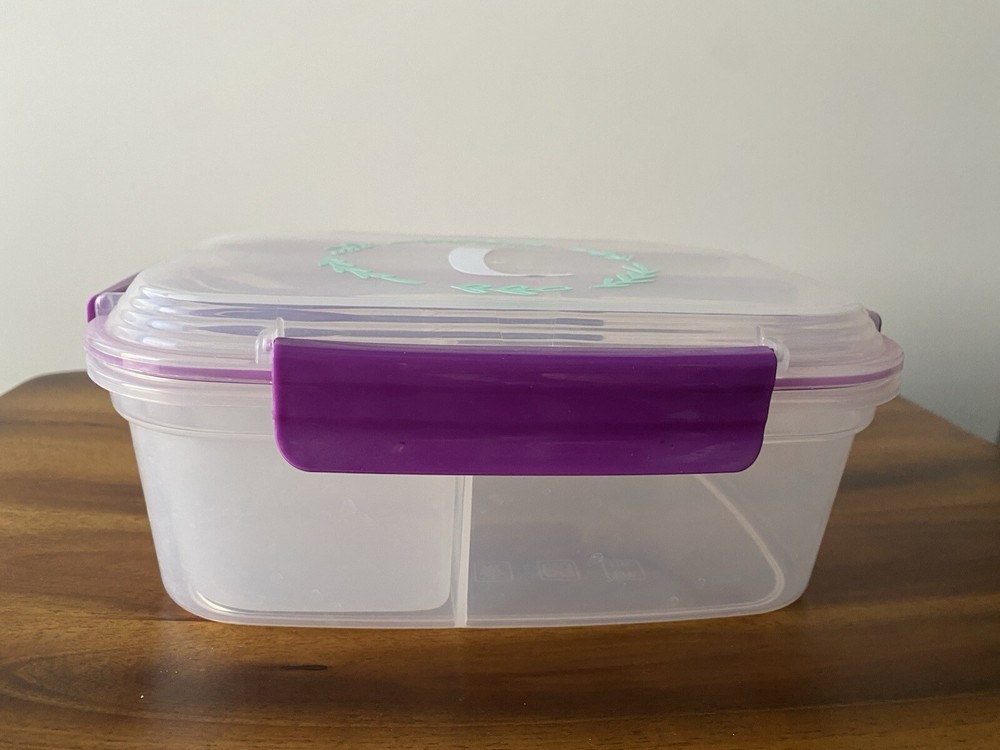 Bento Box Insulated Lunch Container for Kids and Adults Bento Box Insulated Lunch Container for Kids and Adults