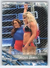Mickie James 2017 Topps WWE Women's Division WWE Matches and Moments #WWE-24