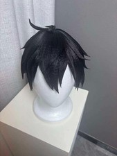Honkai Star Rail Dan Heng Cosplay Wig Styled 