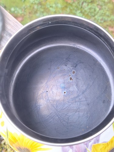 Pioneer Woman 2.3 Qt.tea Kettle Summer Garden Floral Enameled Steel Retired READ - Picture 7 of 12