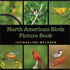 North American Birds Picture Book: Dementia Activities for Seniors (30 Premium P