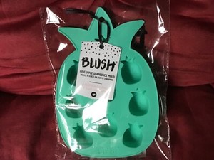 Fabfitfun Ice Cube Mold