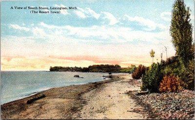 View of South Shore, Lexington MI Vintage Postcard P01