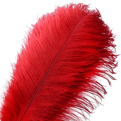 Natural Ostrich Feather Craft Plume for Wedding Centerpieces Home Decoration