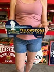 Vintage Style Metal License Plate Topper Yellowstone Park NOT Porcelain USA
