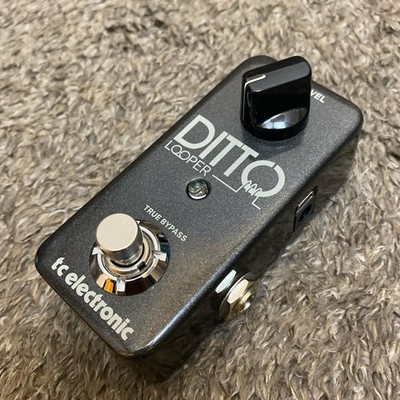 tc electronic DITTO Looper Effektpedal
