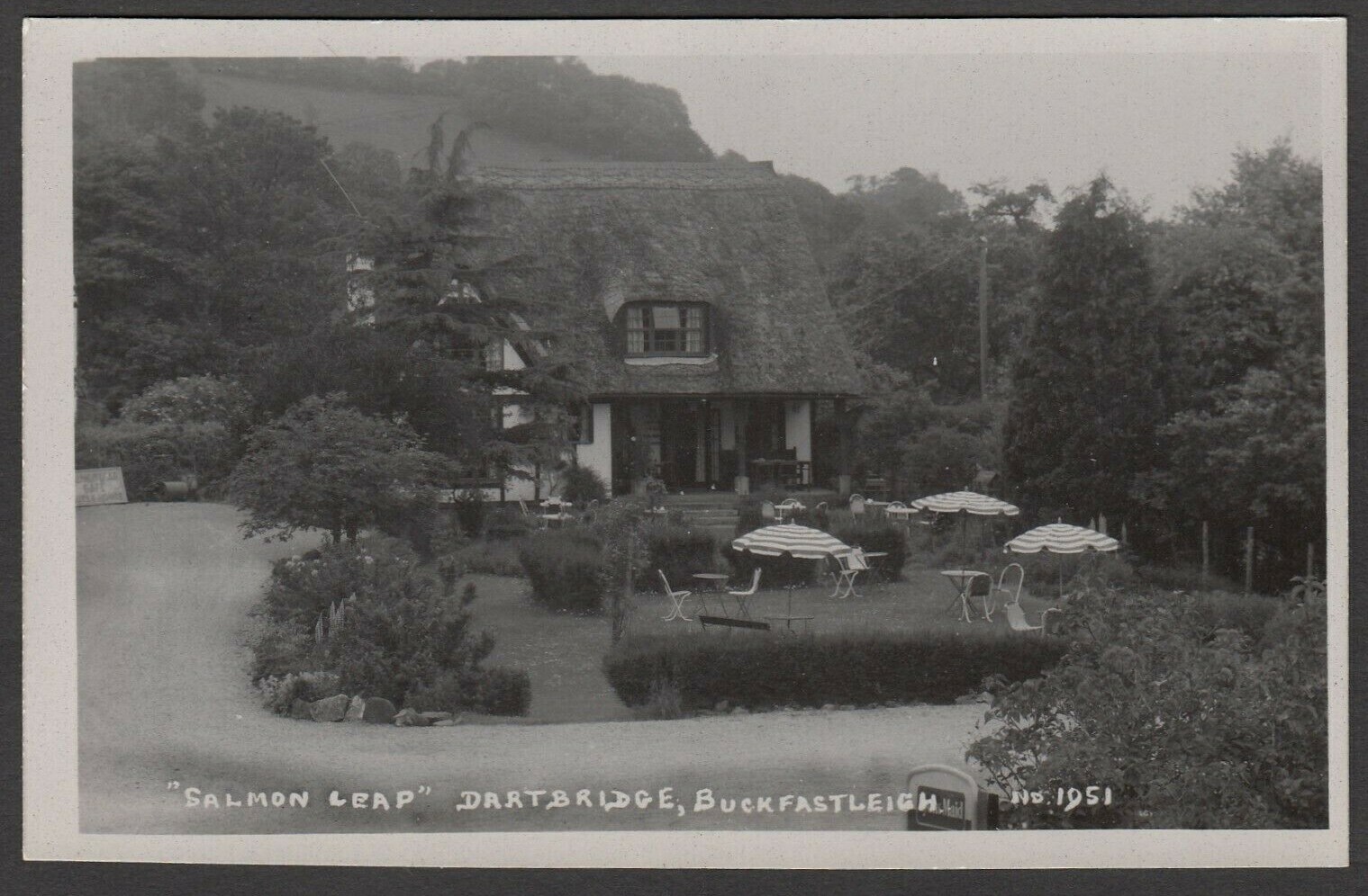 Postcard Buckfastleigh Devon view of Salmon Leap at Dartbridge RP by Ruth eBay