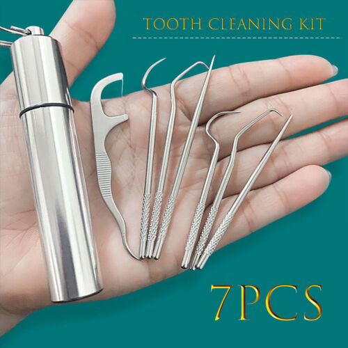 HOT 7PCS Toothpick Set Metal Stainless Steel Oral Tooth Cleaning w/ Storage Tube - Picture 1 of 9