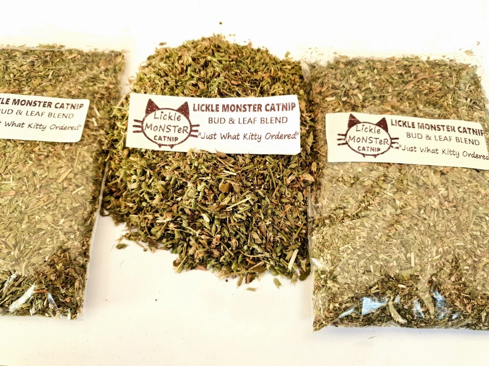 Hierba Gatera - Premium Natural Orgánico Seco Gato Nip - Ideal para Juguetes Ejercicio ¡Juego!! - Imagen 4 de 4