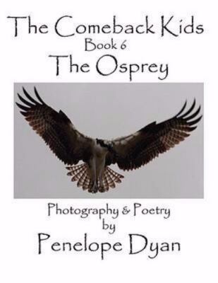 Osprey, Paperback by Dyan, Penelope; Dyan, Penelope (INT), Brand New, Free sh...