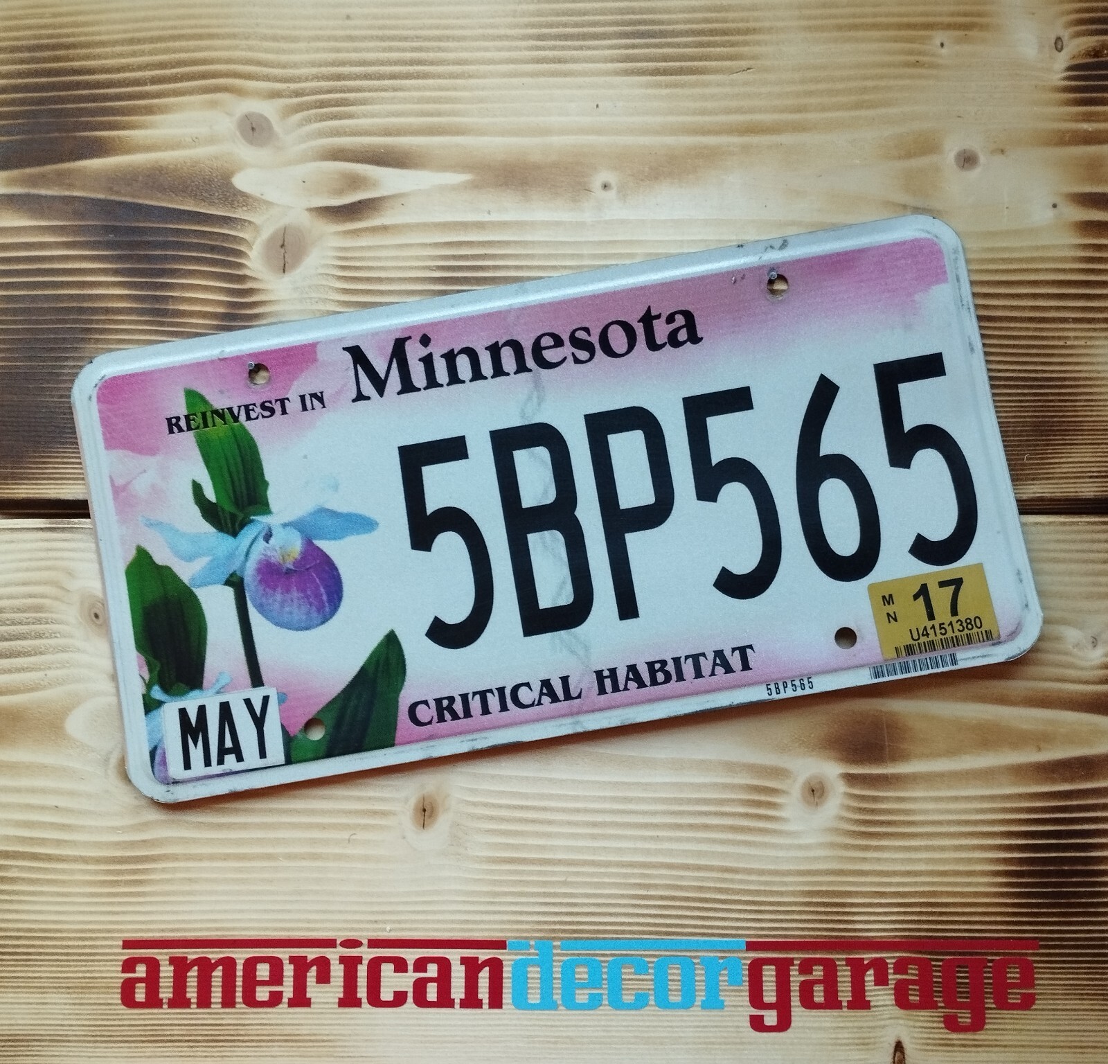 USA Nummernschild/US Kennzeichen/license plate/*Minnesota critical