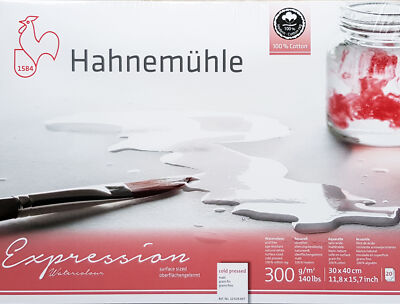 Hahnemühle Expression matt 30x40 cm, 20 Blatt