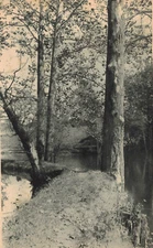 C1910-20 Blair Academy Walk in River Wooded Path Blairstown NJ Vintage Postcard