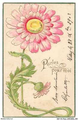 BAFP2-0177 - Flowers - Speak for Me - Flowers