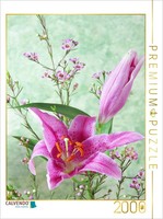 Calvendo Puzzle Lily Blossoms And Wax Flowers | 2000 Pieces, Finished Size 35.4