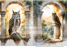 Tuscan Owl Duo | A4 Rice Paper | Paper for Decoupage | Decoupage Central