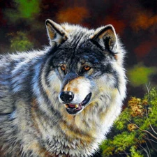 Grey Wolf Portrait by Esther van Hulsen Wolves Wildlife Fine Art Print 13x19