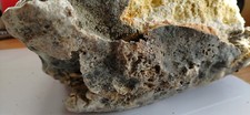 Ambergris Irish Gold/White/Grey 100% Organic, Whale poop 1gr