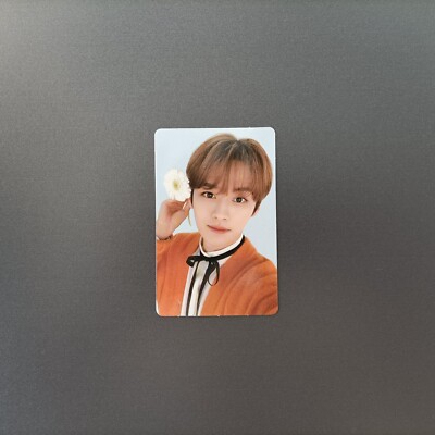 Stray Kids Card StrayKids nac Nacific Christmas Box Lee Know Lee