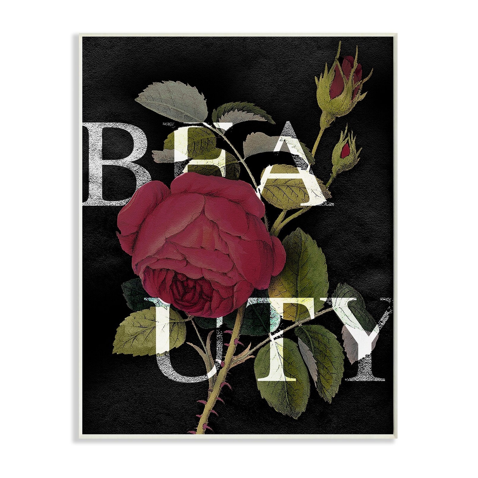 Stupell Beauty Text over Vintage Red Thorned Rose Wood Wall