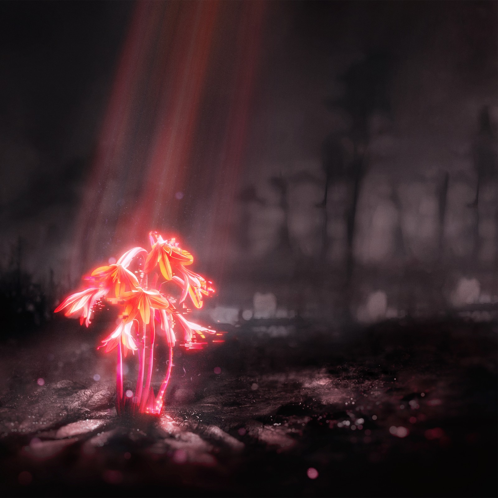 Enter Shikari - Поцелуй для всего мира (винил)