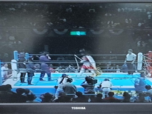 Neuf Japon Pro Wrestling VHS NJPW Lot de 2 Thunder Liger Fujinami Ohara - Photo 12/14