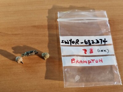 Viking/Saxon finds pas rec. from wintering area. A must read description. LA53g
