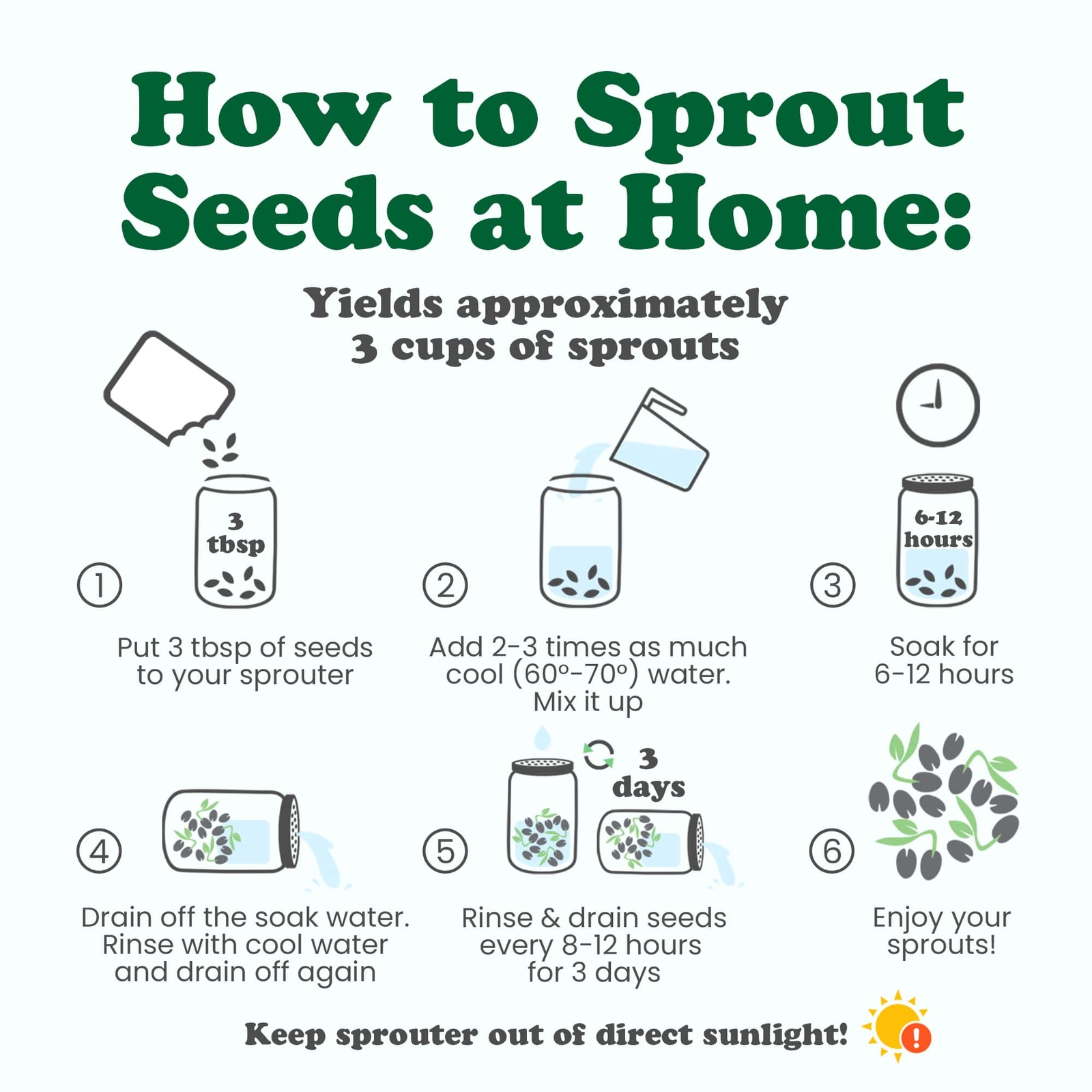 Organic Sprouting Seeds - Gift Box by Food to Live (Non-GMO,Kosher)