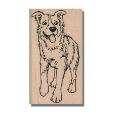 Mounted Rubber Stamp, Border Collie Mix, Animal, Dog, Pup, Pet, Look, Eyes, Cute