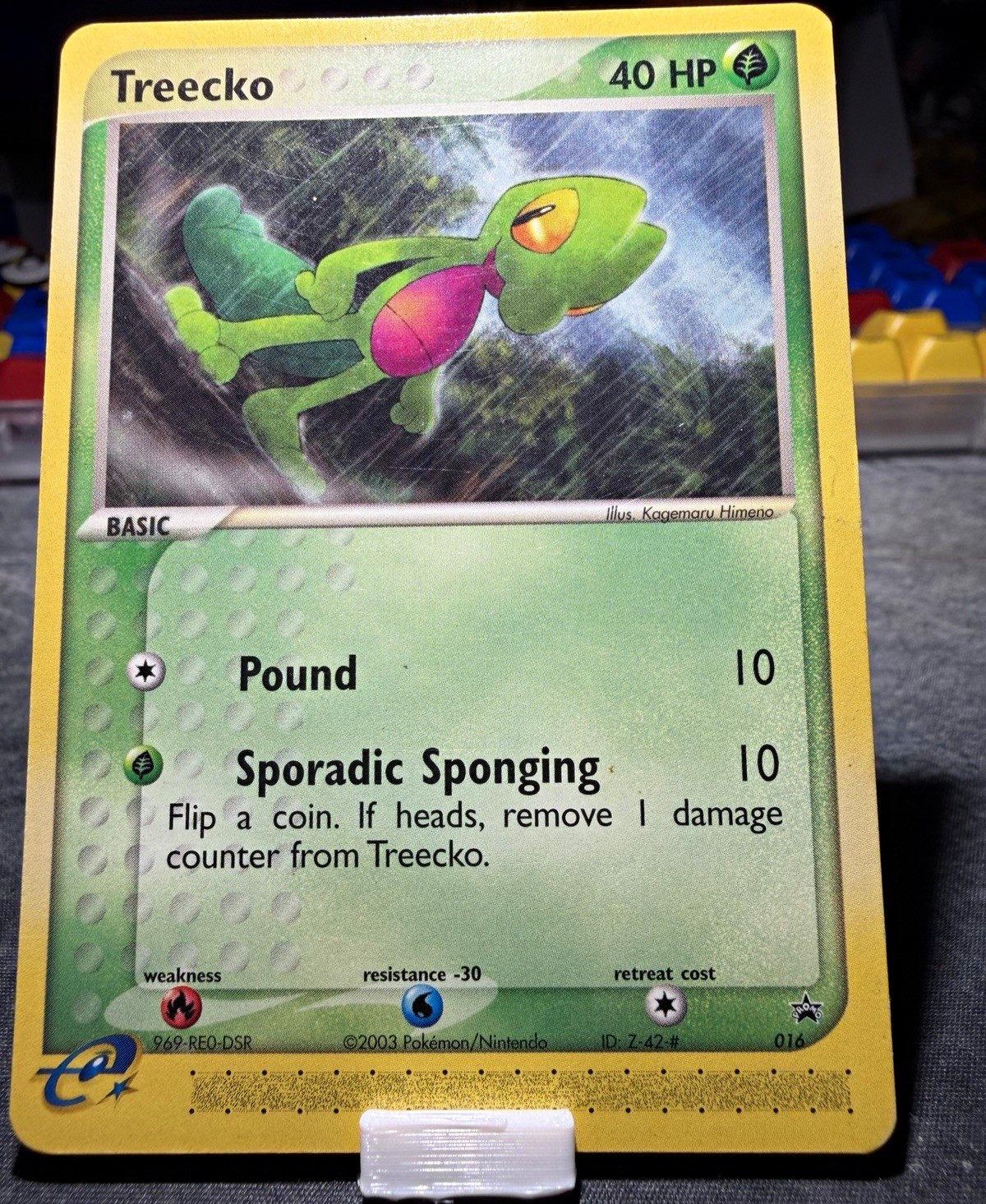 Pokemon Treecko Target Promo 016 40 HP Basic Regular English 2003