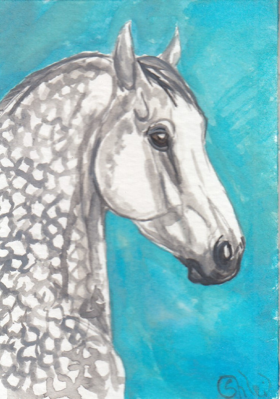 ACEO original Watercolor Art Card HORSE dapple gray French Percheon Mare
