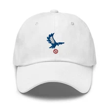 Crystal Palace Minimalist Design Embroidered Dad Hat Soccer Football Cap