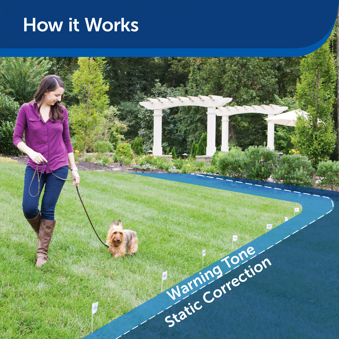 PetSafe ZIG00-14654 In-Ground Electric Dog Fence 500 Feet 14-Gauge USA Wire