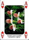Bild 3 von 54