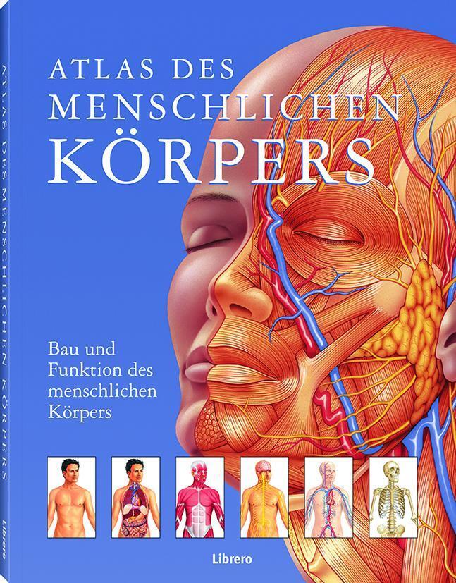 Thumbnail - Atlas Des Menschlichen Körpers, Janet Parker