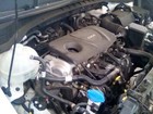 Picture 6 of 20