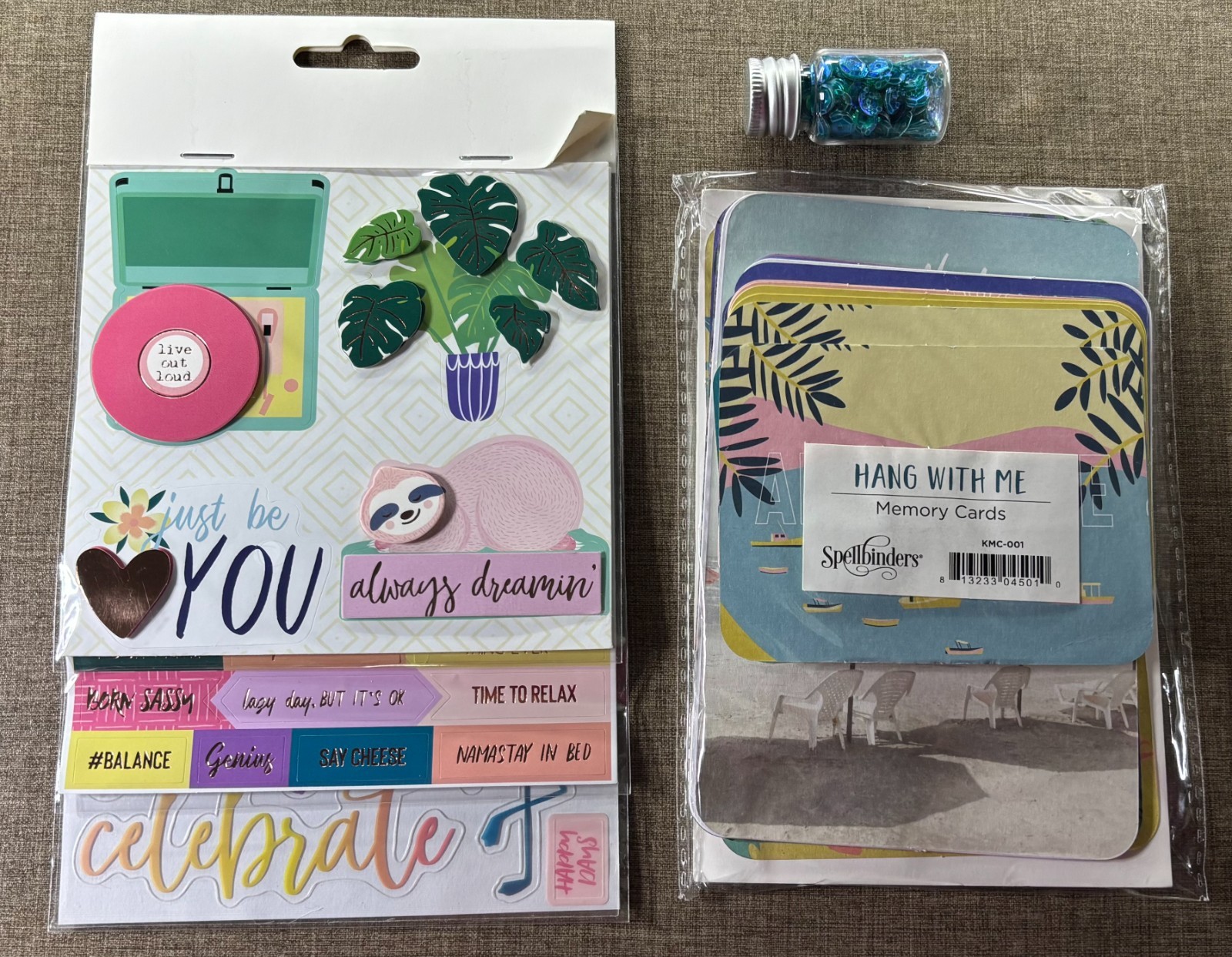 Spellbinders Hang With Me August 2019 Card Kit KOTM - Almost Complete Kit