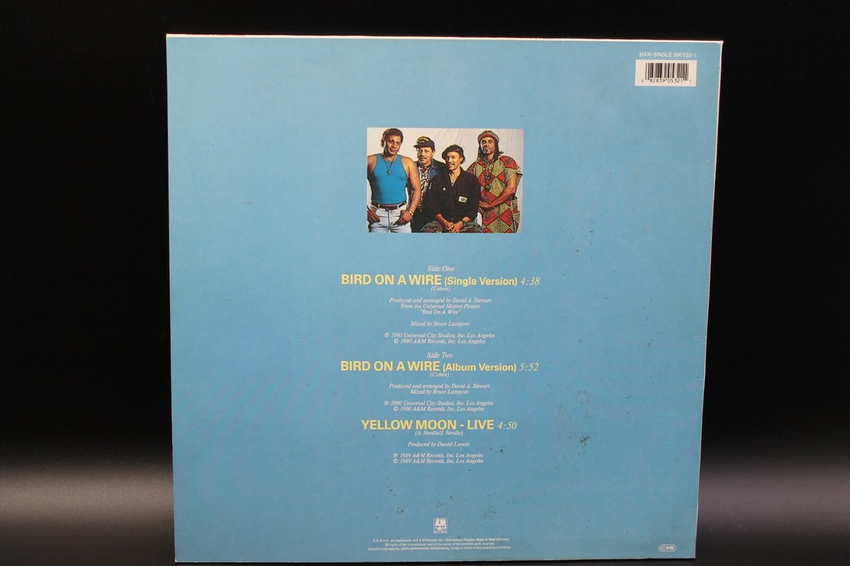 The Neville Brothers - Bird On A Wire (1990) (Vinyl 12