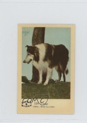 1962 Dutch Gum Star Bilder B Food Issue Lassie #159 0i4g