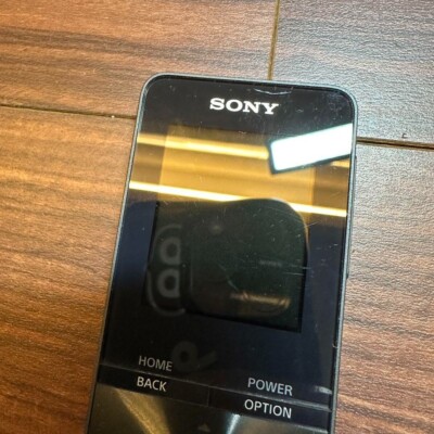 SONY Walkman NW-S313K Digital Player 4GB 2357 From Japan | eBay