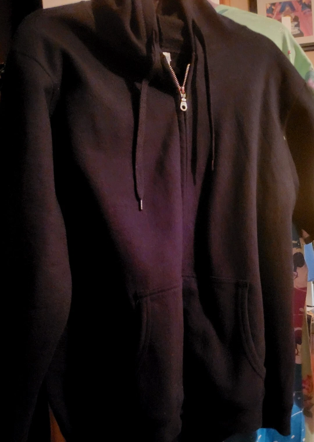 Felpa con cappuccio Disney Bride Strass Cenerentola Coach donna zip up.