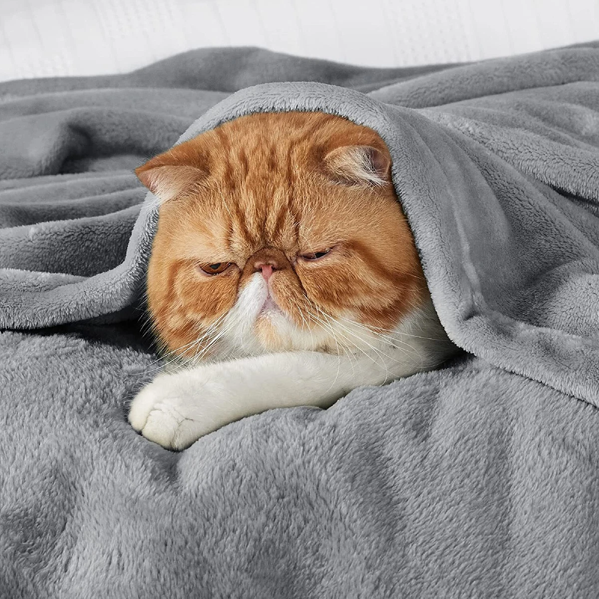 Lightweight fleece throw sales