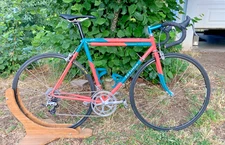 53cm Ed Litton Road Bike Steel Vintage Made in USA Campagnolo