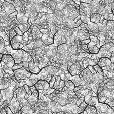 Branching 23 - 20" x 38" Hydrographic Film Hydro Dipping